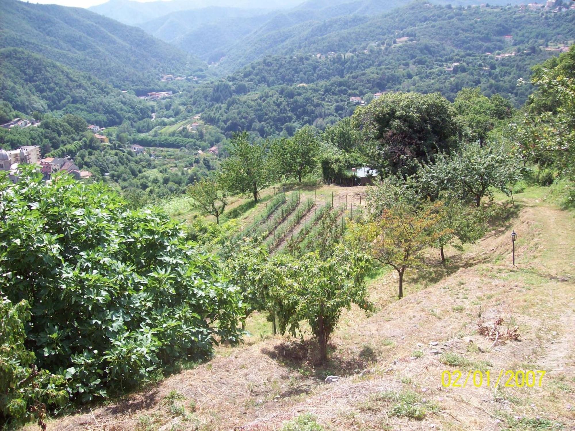 Agriturismo Rio Lunei Stella Esterno foto